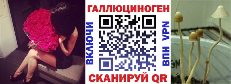 Галлюциногенные грибы Psilocybe  Емва 